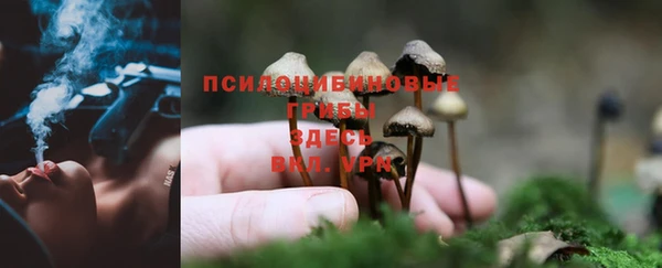 прущий лед Абаза